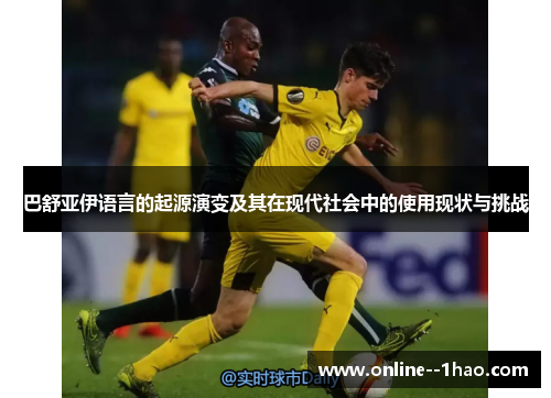 巴舒亚伊语言的起源演变及其在现代社会中的使用现状与挑战