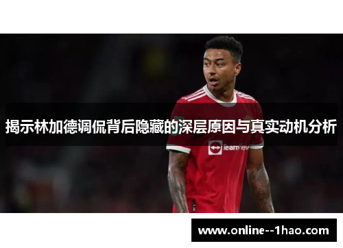 揭示林加德调侃背后隐藏的深层原因与真实动机分析