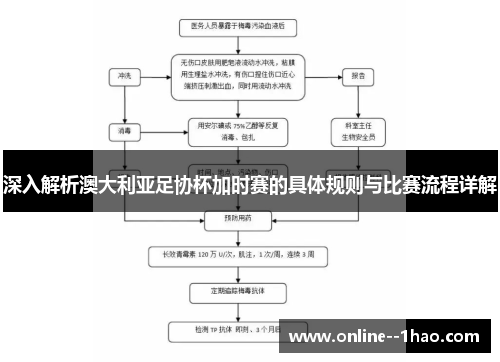 深入解析澳大利亚足协杯加时赛的具体规则与比赛流程详解 深入解析澳大利亚足协杯加时赛的具体规则与比赛流程详解