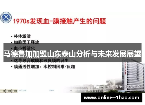 马德鲁加加盟山东泰山分析与未来发展展望
