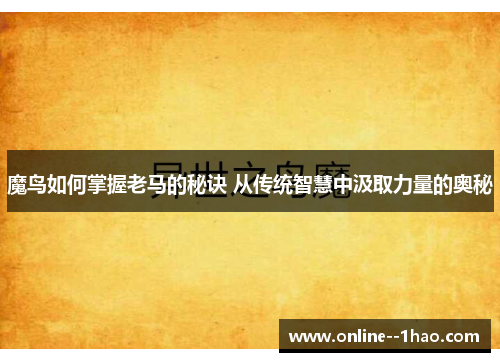 魔鸟如何掌握老马的秘诀 从传统智慧中汲取力量的奥秘
